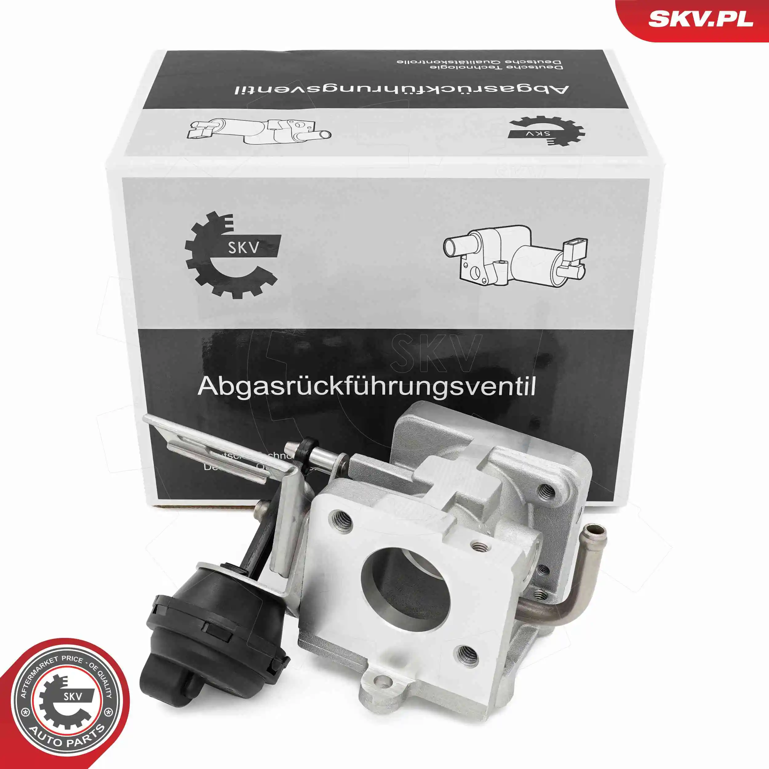 EGR Valve